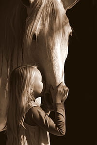 girl kissing white horse thumbnail