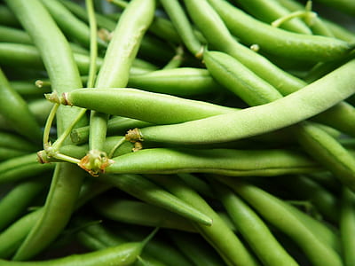 green string beans vegetables in close-up photo thumbnail