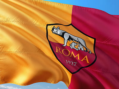 Roma flag thumbnail