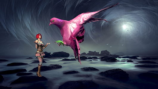 anime character talking to pink bird illustration thumbnail