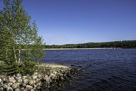 Lakeshore and landscape at Hutch Lake thumbnail