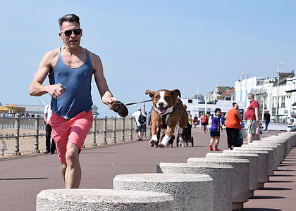 man in blue tank top running with brown dog jumping over grey blocks at daytime thumbnail