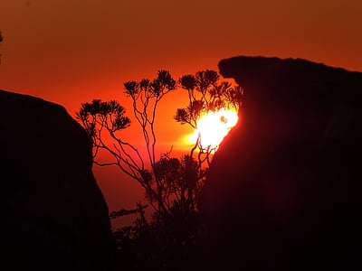 silhouette photo of tall trees between tall rock formations thumbnail