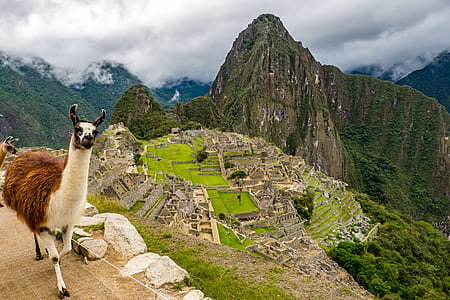 Machu Picchu thumbnail