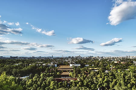 Birds Eye View Photography of Green Tree Forest thumbnail