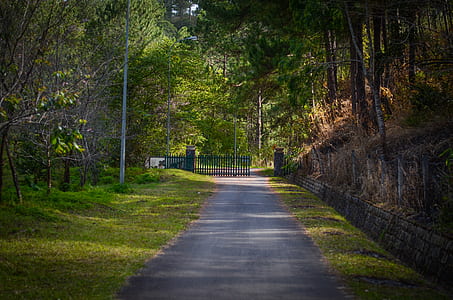 empty gray concrete road between green grass towards black metal gate at daytime thumbnail