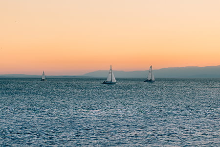 three white sailboats on body of water thumbnail