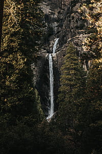 waterfalls surrounded by tall tree thumbnail