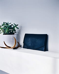 blue leather purse near green leafed plant on shelf thumbnail