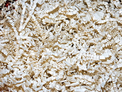 shredded papers thumbnail