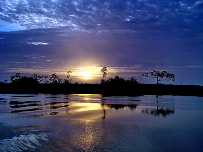 Gayana, The River Demerara thumbnail