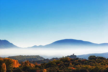 green leafed trees under clear blue sky thumbnail