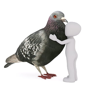white stick man hugging gray pigeon thumbnail