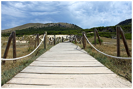 brown wooden pathway thumbnail