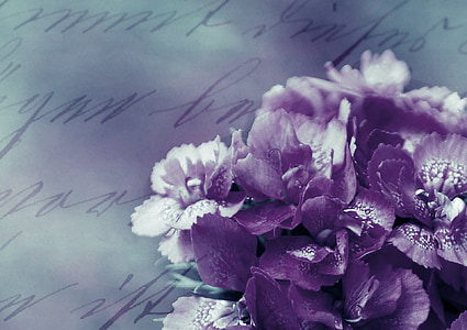 purple and white flowers closeup photography thumbnail