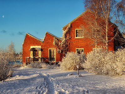 brown house surrounded by trees under blue sky thumbnail