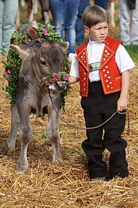 kid beside brown water buffalo thumbnail