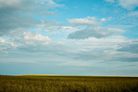 grass field under cloudy sky thumbnail