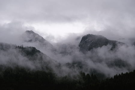 silhouette of trees and mountain covered with fog during daytime thumbnail
