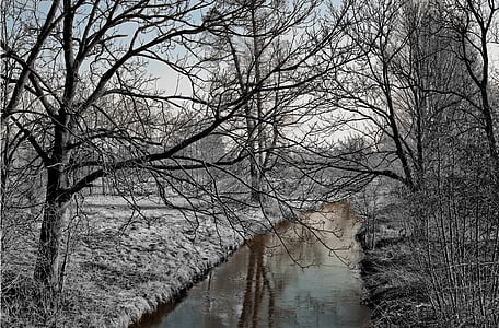 rive between bare trees thumbnail