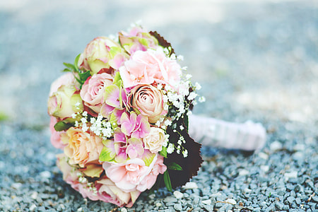 pink roses and white baby's-breath bouquet thumbnail