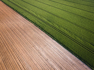 green and brown field thumbnail