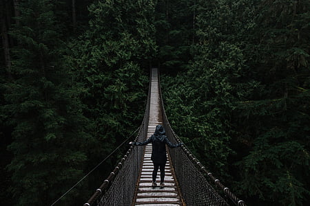 person standing in middle of hanging bridge thumbnail