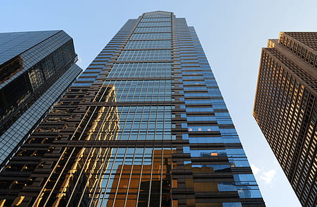 photo of low angle photo high-rise building thumbnail