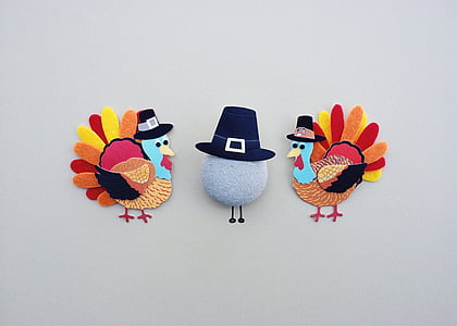 two turkey near egg artwork thumbnail