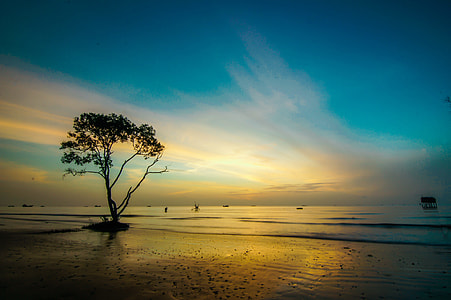 silhouette of tree and body of water thumbnail