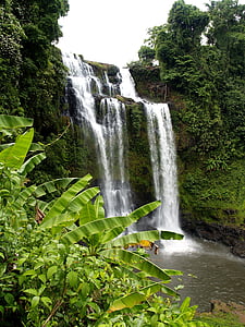 green banana trees near waterfalls at daytime thumbnail