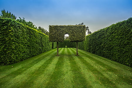 photo of green grass field thumbnail
