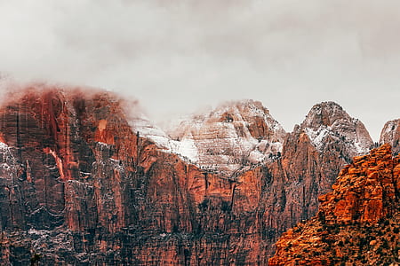 Panoramic Shot of Trees on Landscape thumbnail