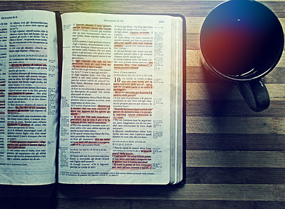 opened bible book with highlighted verses beside black ceramic mug thumbnail