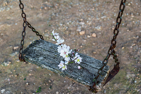 white flowers on wooden bench thumbnail