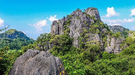 Photography of Mountain Covered With Trees thumbnail