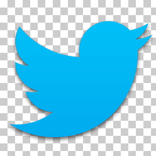Social media Institute for Marine and Antarctic Studies Stock Company Business, Free High Quality Twitter Icon, Tweeter logo PNG clipart