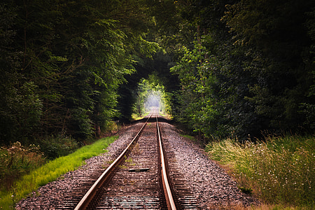 railway surrounded with green leaf plant during daytime thumbnail