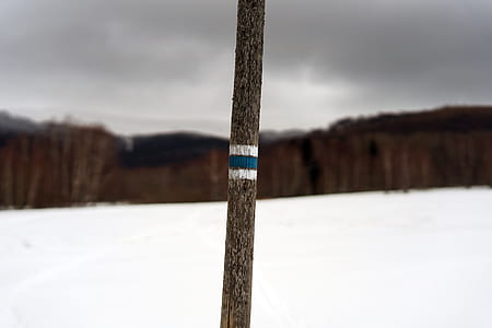brown and blue wooden stick thumbnail