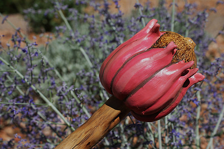 pink and brown wooden flower in selective focus photography thumbnail