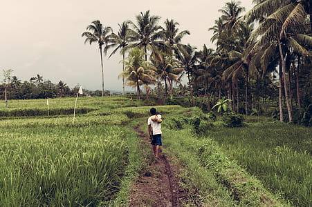 man walking along puddle thumbnail