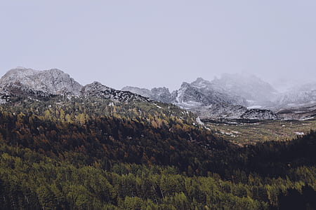 aerial photography of mountain and tree view at misty morning thumbnail