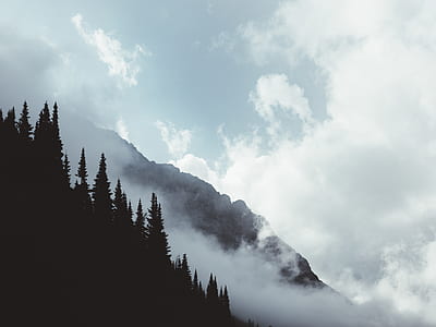foggy mountain thumbnail