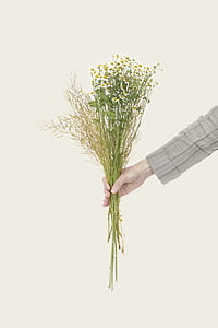 person holding flower bouquet thumbnail