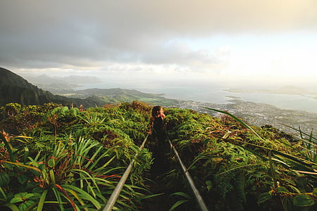 woman standing between green plants during daytime \ thumbnail