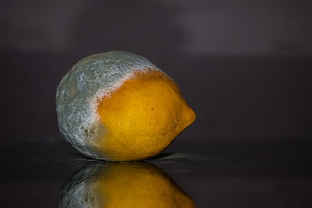 overriped citrus thumbnail