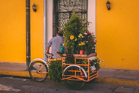 person sitting beside flowers thumbnail