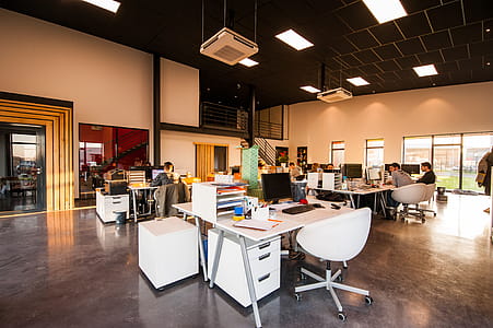 People Sitting on Chairs Beside their Desks in an office thumbnail