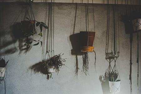 five brown and white hanging flower pots thumbnail