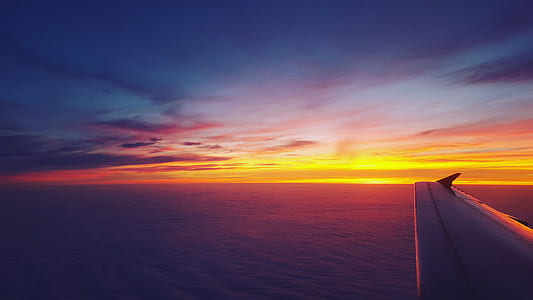 sea, flight, dawn, sky thumbnail